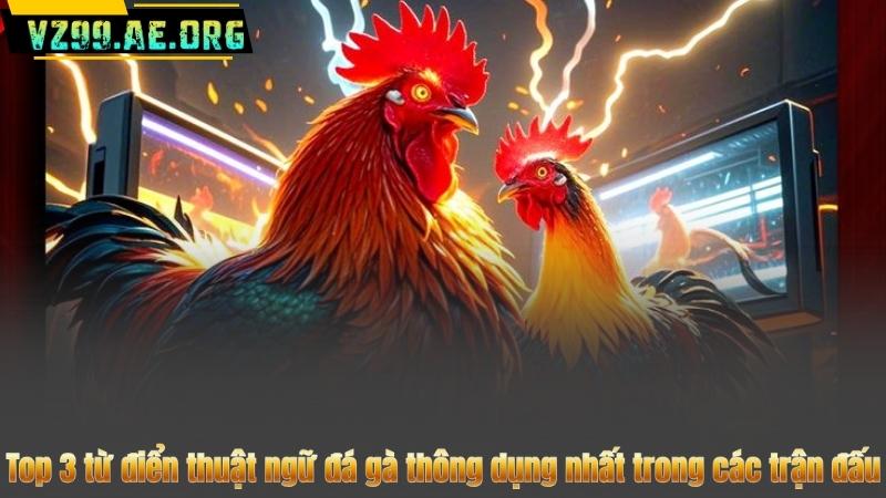 Từ điển thuật ngữ đá gà trước & sau khi tranh tài