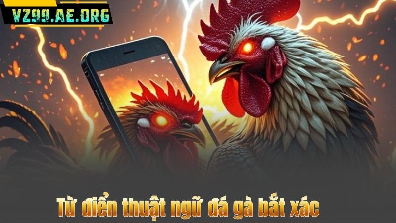 Từ điển thuật ngữ đá gà bắt xác